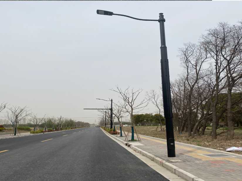 霞山区上海综合杆 太阳能路灯工程